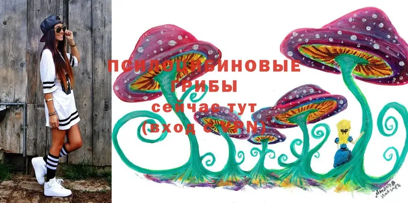 купить наркотики цена  Североуральск  Псилоцибиновые грибы Psilocybine cubensis 